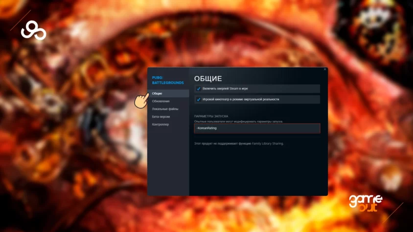 Параметры запуска в игре Steam