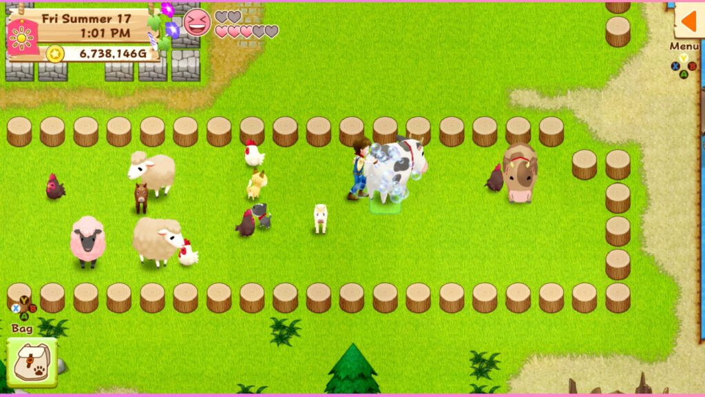 Harvest Moon: Light of Hope Special Edition game screenshot 1
