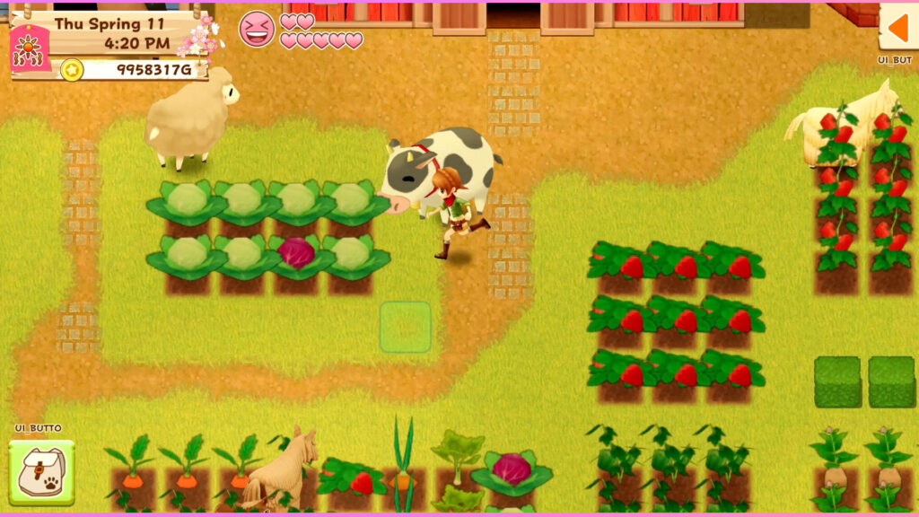 Harvest Moon: Light of Hope Special Edition game screenshot 2