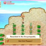 Harvest Moon: Light of Hope Special Edition game screenshot 3