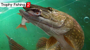 Trophy Fishing 2 game cover