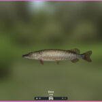 Trophy Fishing 2 game screenshot 2