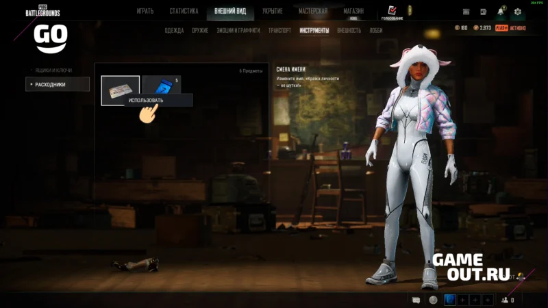 Активация купона на смену имени в PUBG