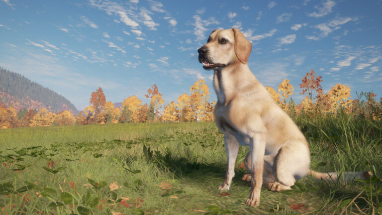 Трейлер DLC Labrador Retriever для TheHunter: Call of the Wild — Встречайте Вашего Нового Охотничьего Спутника!