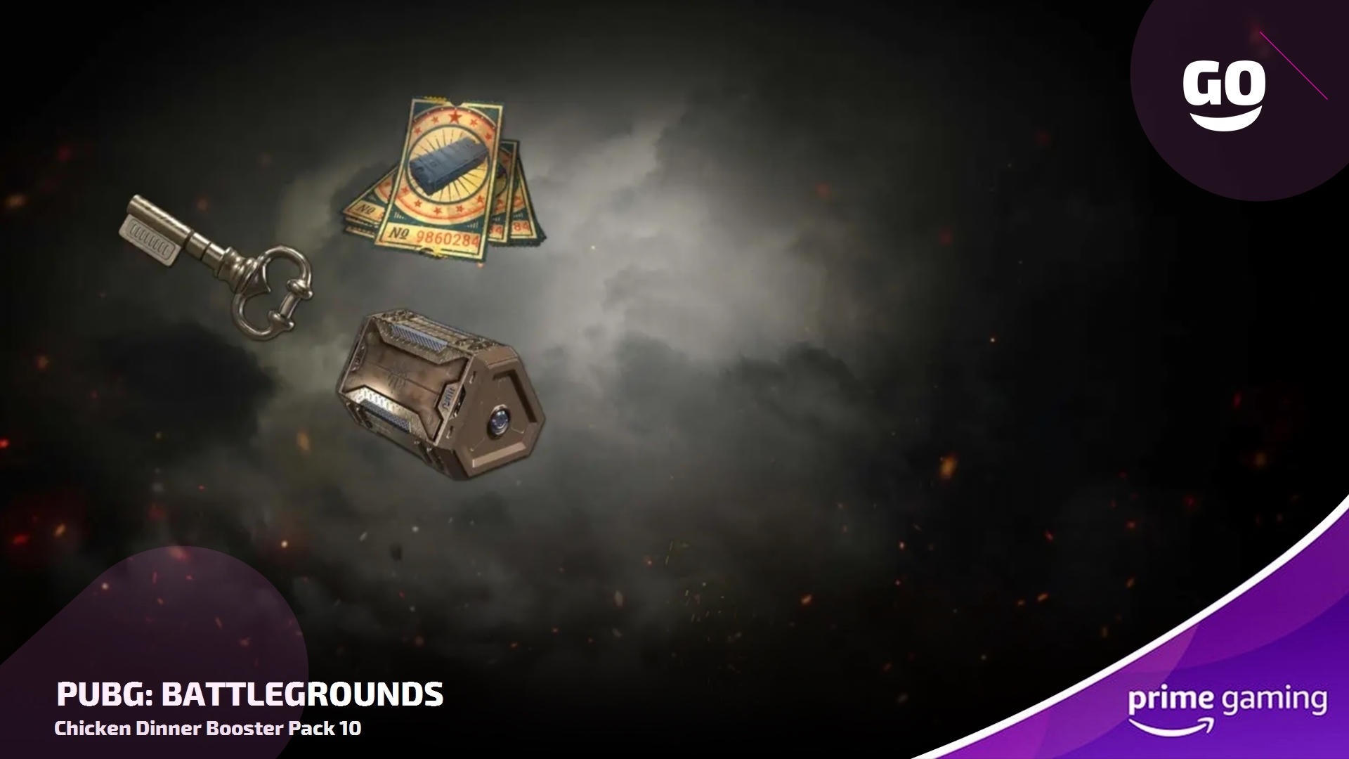 Chicken dinner booster pack 10