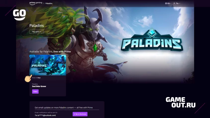Prime Gaming Paladins Activation Step 3