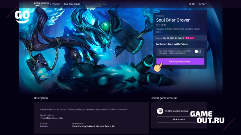 Prime Gaming Paladins Activation Step 4