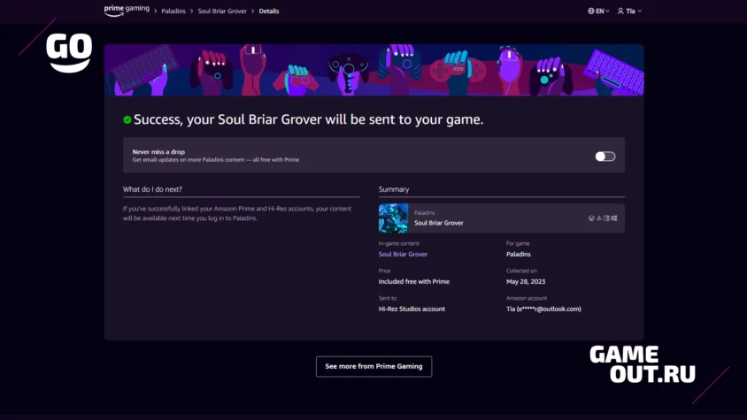 Prime Gaming Paladins Activation Step 7