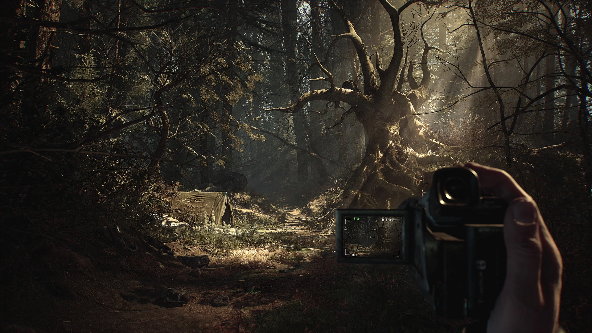 Бесплатная раздача игры Blair Witch в Epic Games Store