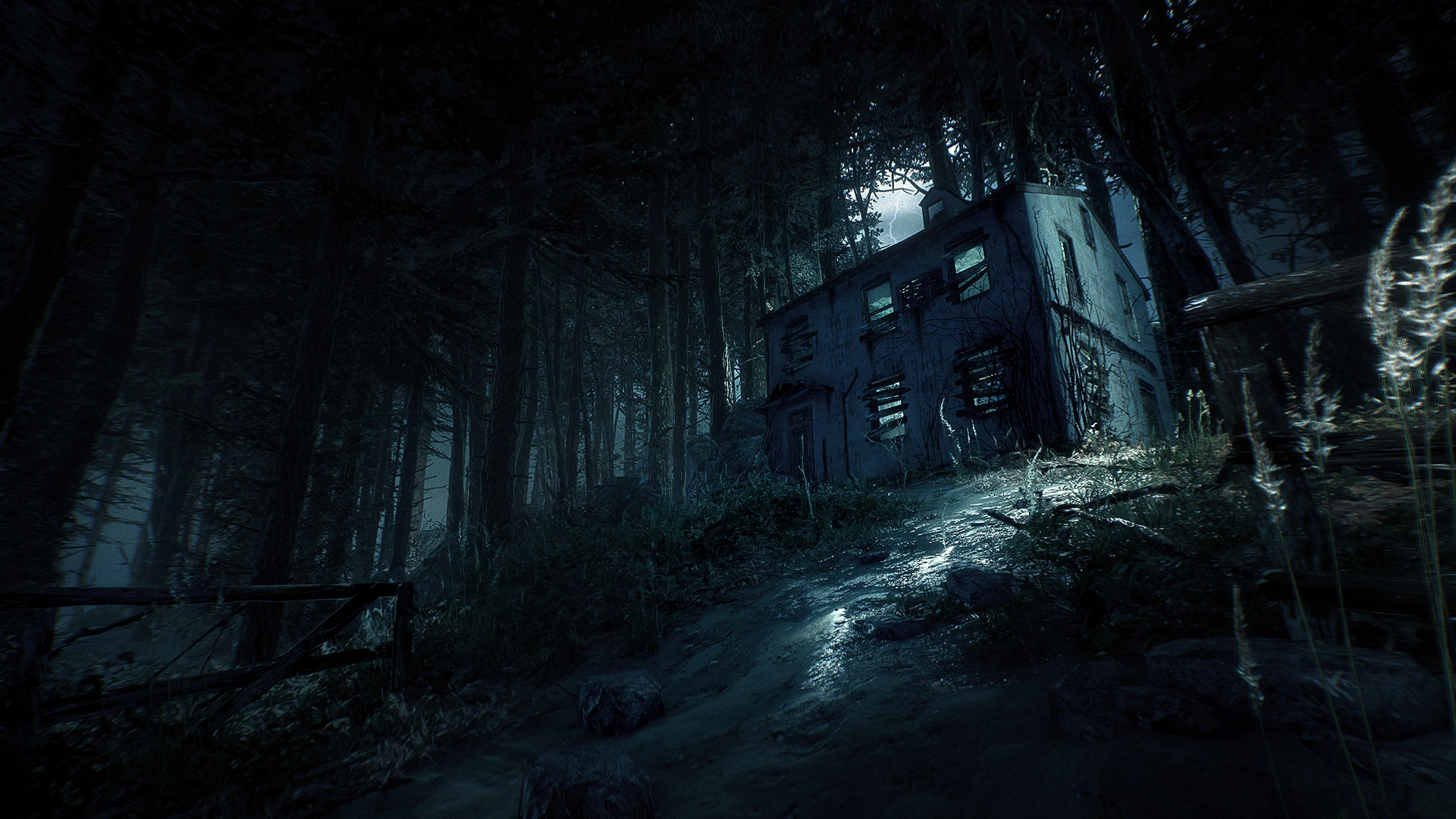 заброшенный дом в лесу Blair Witch