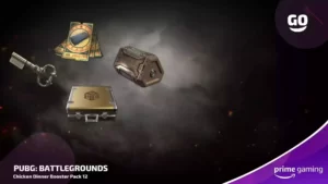 Уникальные подарки Prime Gaming для PUBG: BATTLEGROUNDS