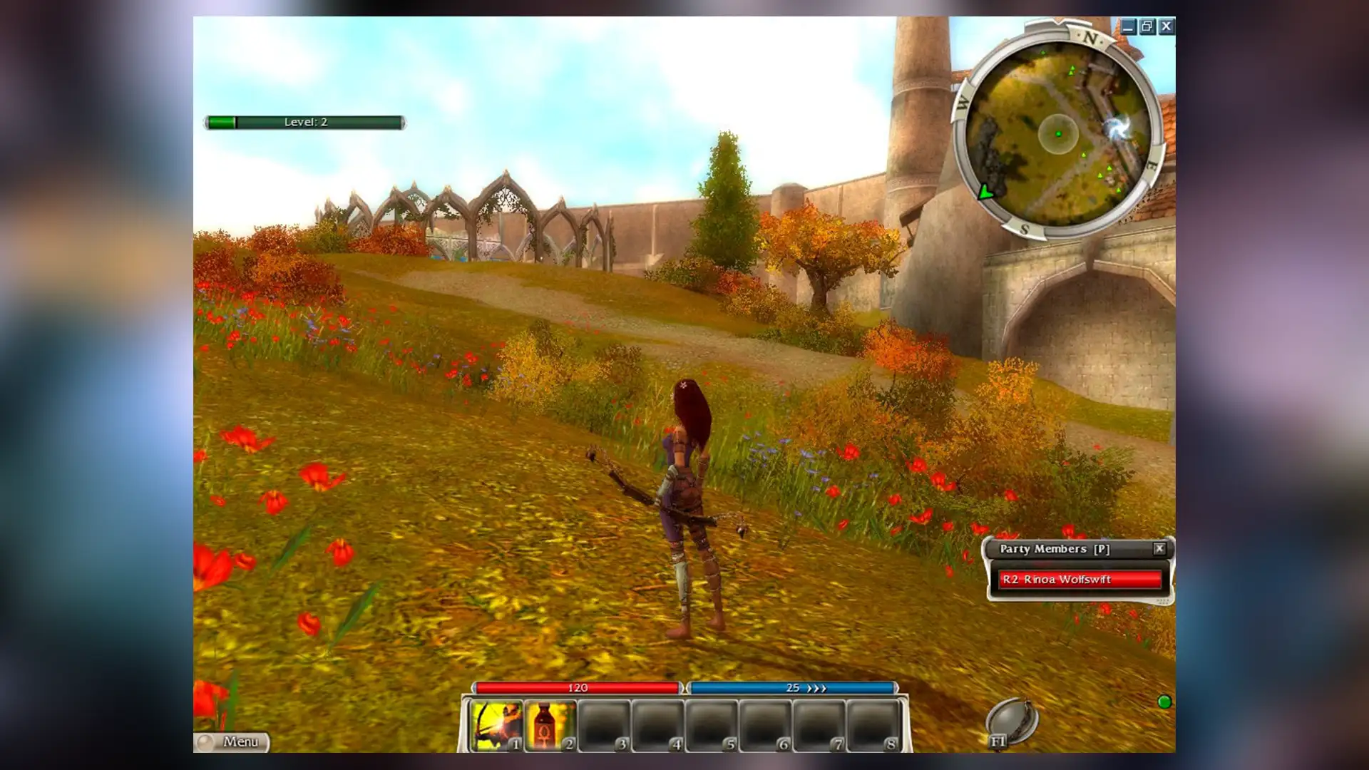 Персонаж на лугах в Guild Wars с цветущими полями.