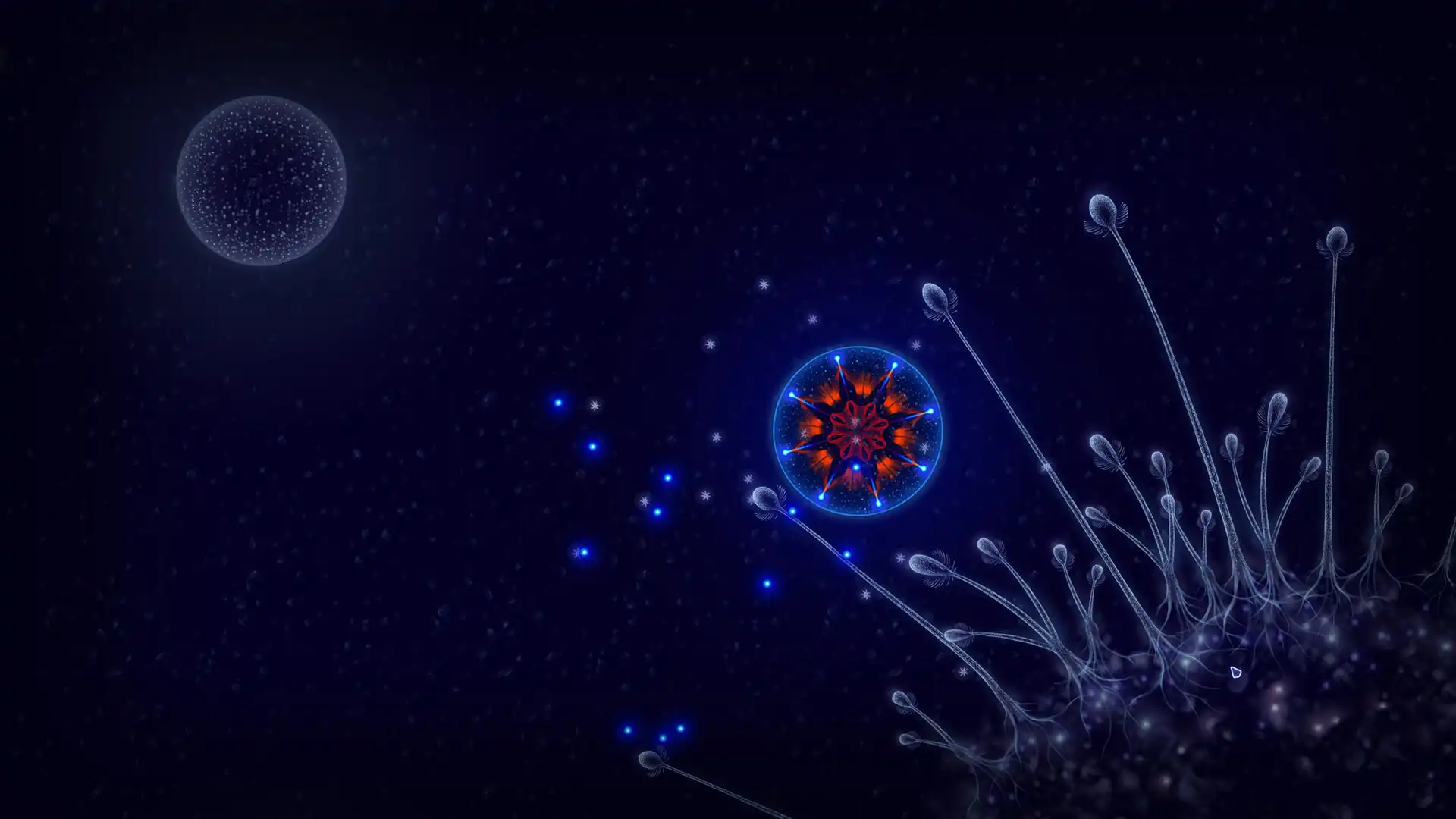 Микроорганизмы, светящиеся в глубинах Microcosmum