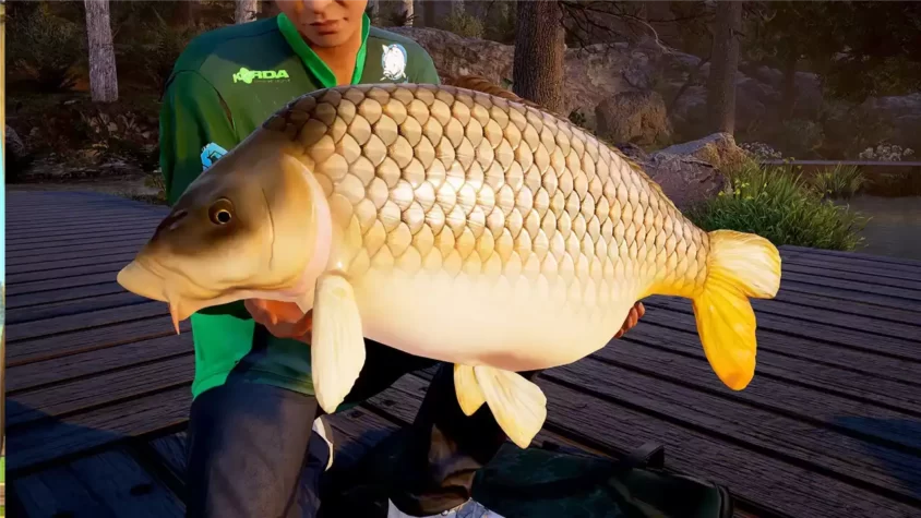 Трофей чемпионата в Fishing Sim World Pro Tour