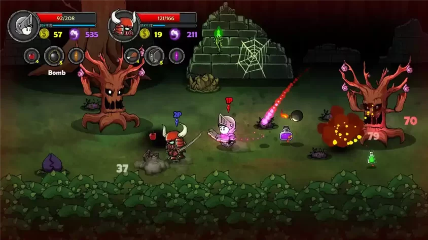 Скриншот из игры Lost Castle 4