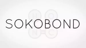 Обложка Sokobond