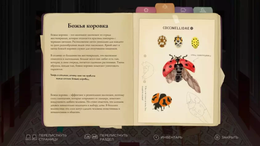 Открытая книга с иллюстрацией божьей коровки и ее описанием на русском