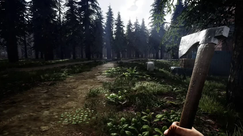 Скриншот с лесом и топором из Mist Survival