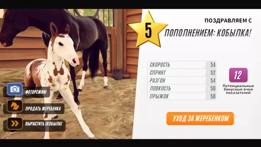 Появление жеребёнка в игре