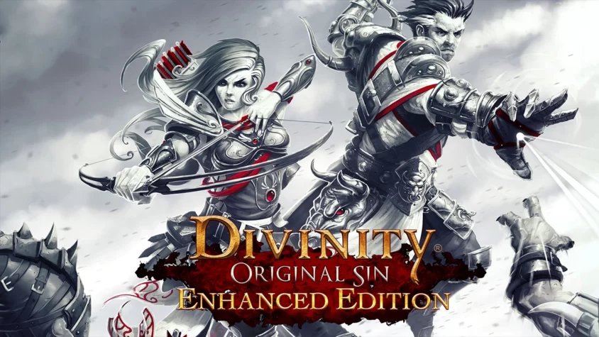 Divinity: Original Sin — Обложка Обложка игры Divinity: Original Sin