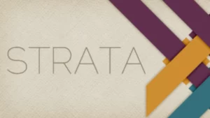 Обложка Strata