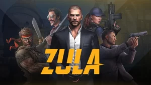 Обложка Zula